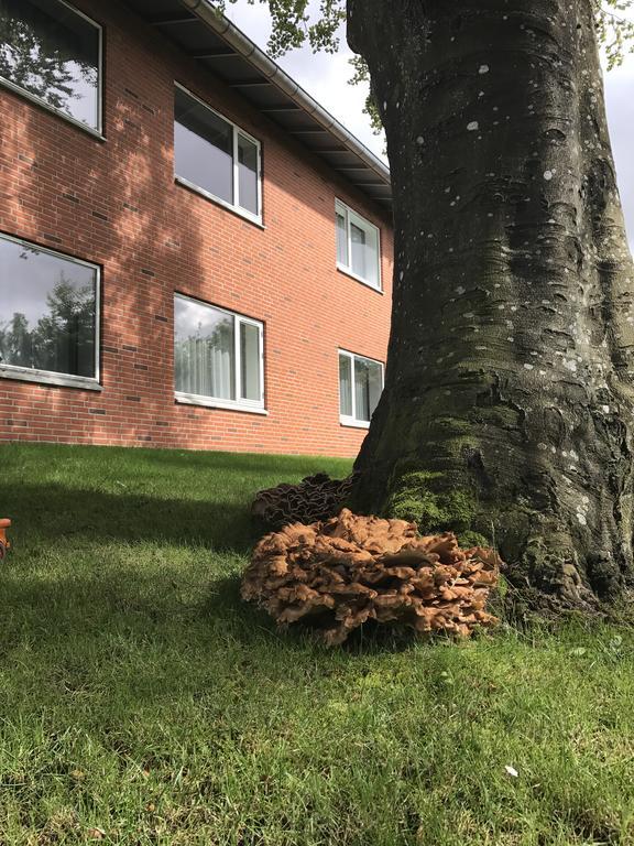 Hotel Jernbanegade Kibæk 외부 사진